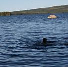 Schwimmen im Svaninge See